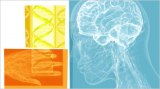 New Research Shows Chiropractic Helps with Parkinsons New Research Shows Chiropractic Helps with Parkinsons